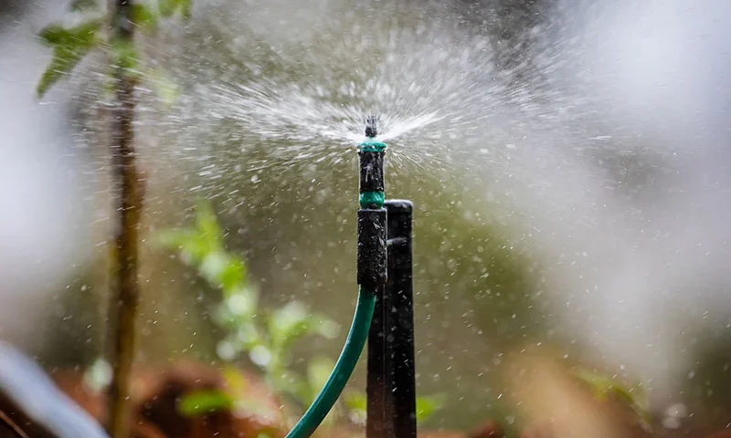 save water during summer