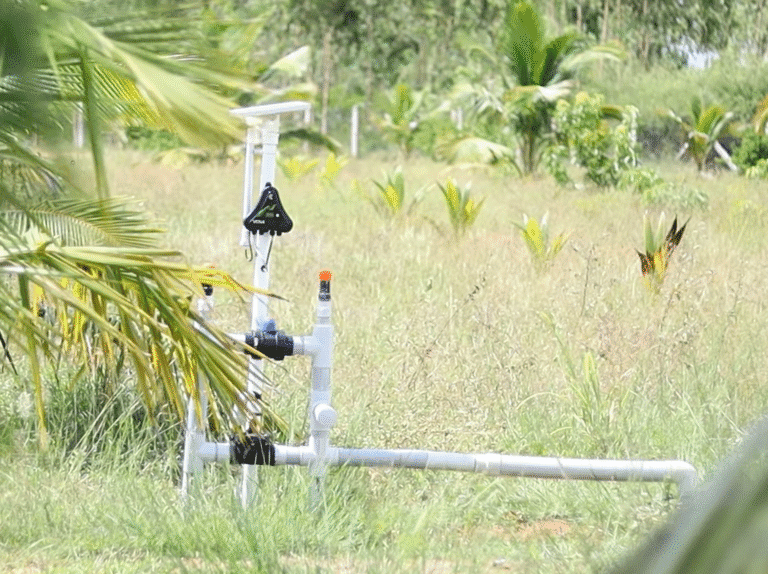 irrigation automation in trichy coconut farm