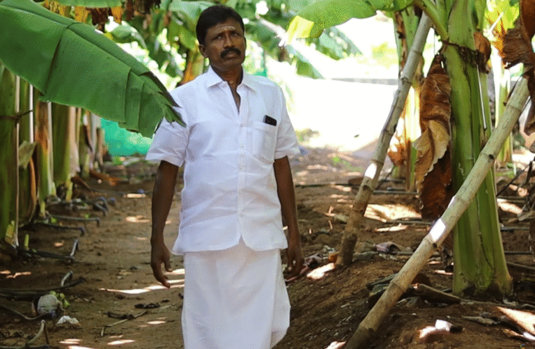 Smart Irrigation for Arecanut