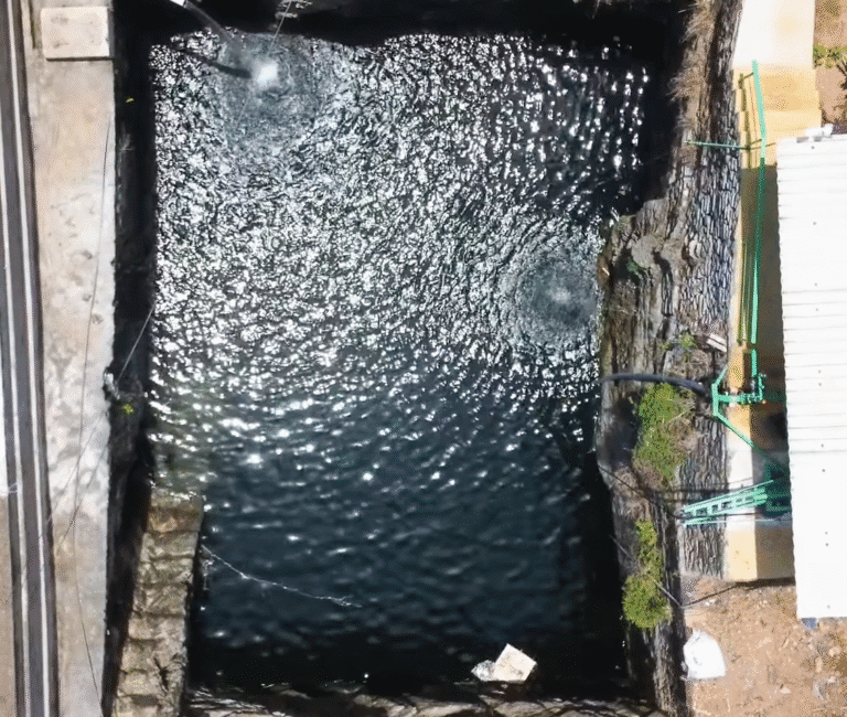 Smart Irrigation for Arecanut