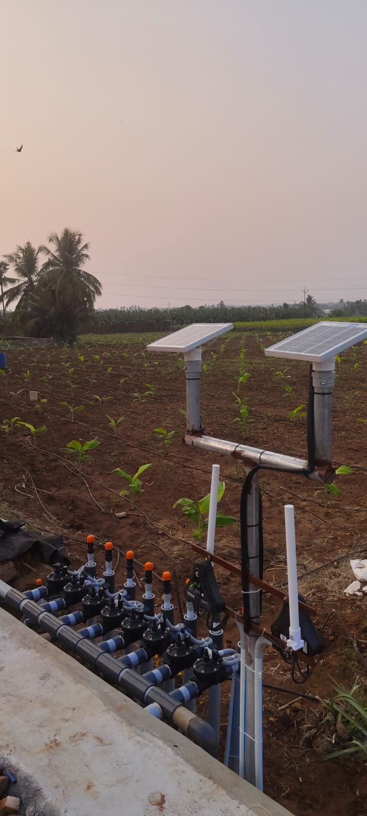 Smart Irrigation System