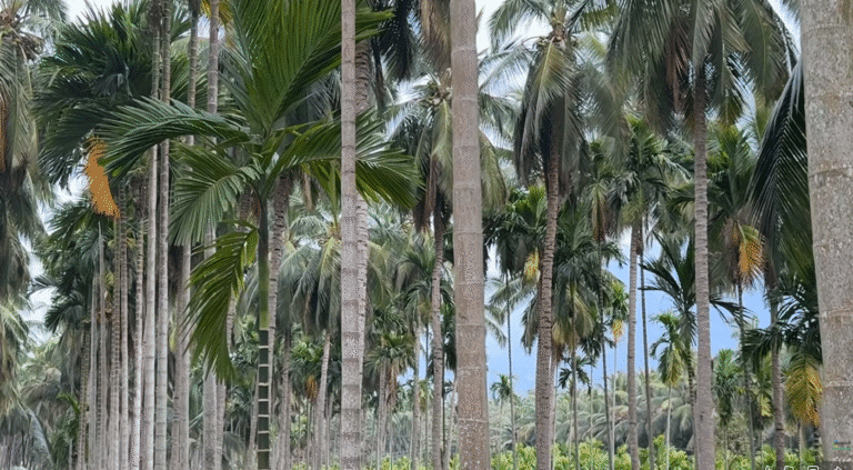 Farm Irrigation Automation