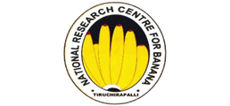 en6
