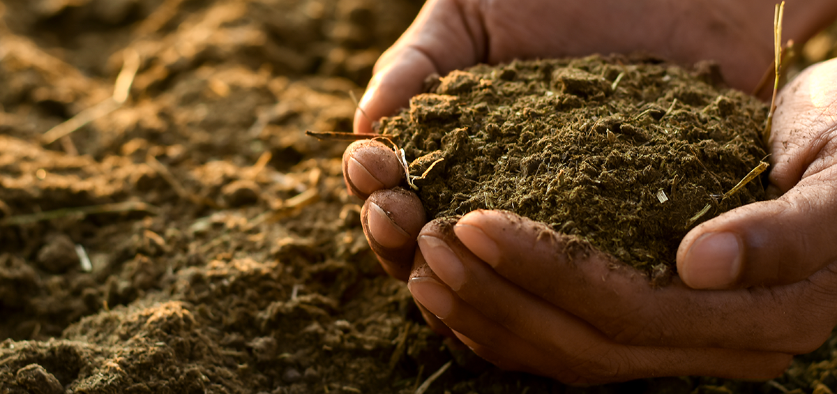 Soil Degradation in Karnataka