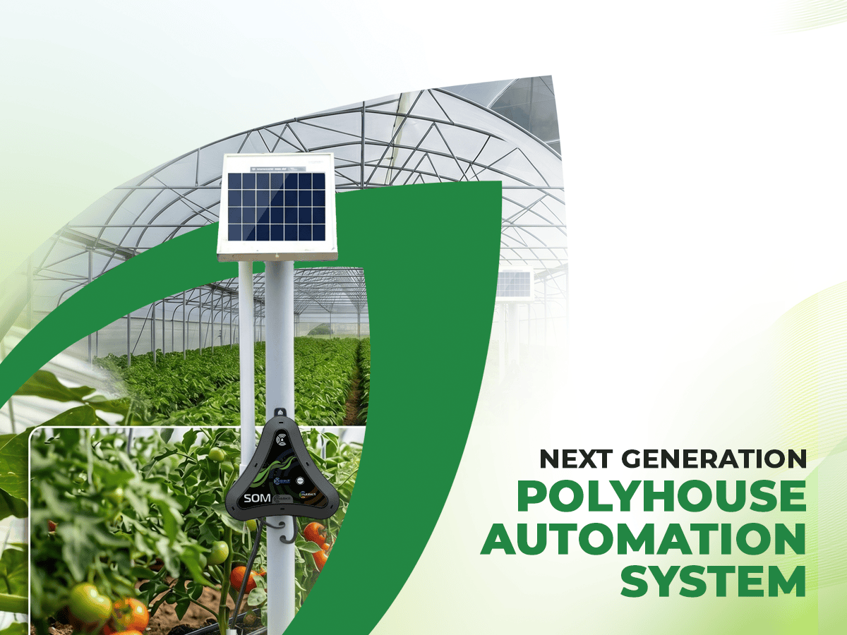 Polyhouse Preview