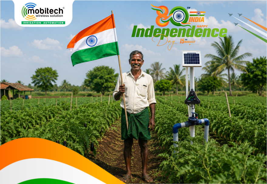 Independence Day